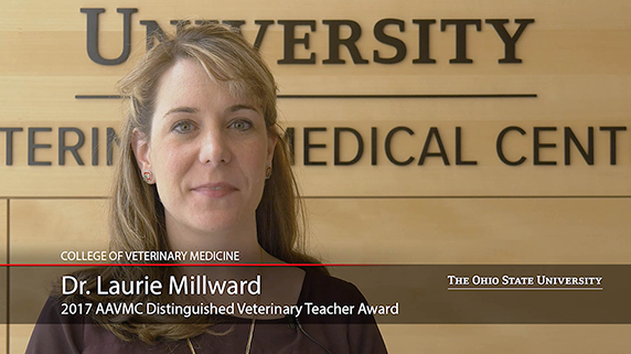 Dr. Laurie Millward Title Screen 